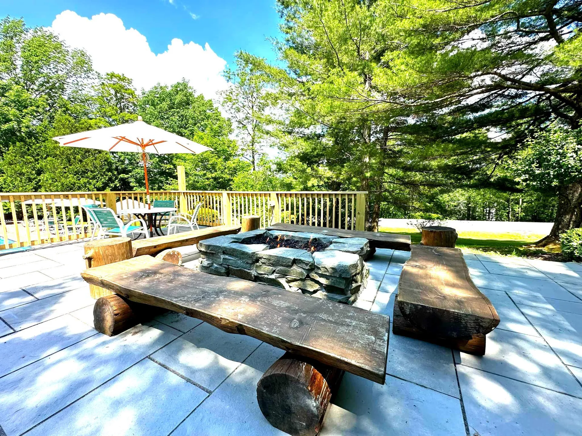 5E Polar Bear N Dover VT 05356