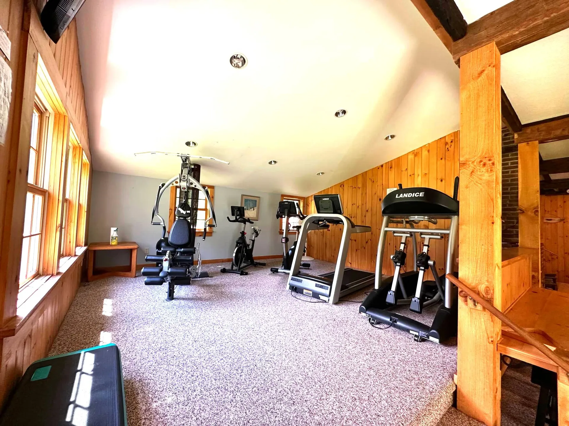 5E Polar Bear N Dover VT 05356