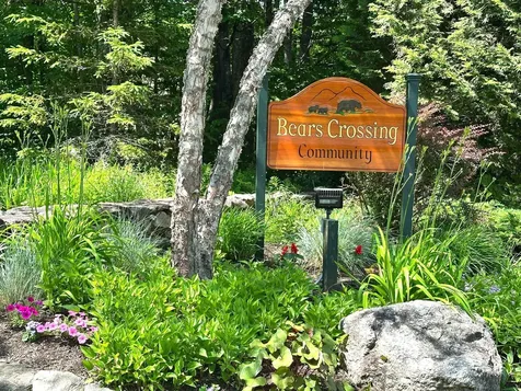 5E Polar Bear N Dover VT 05356