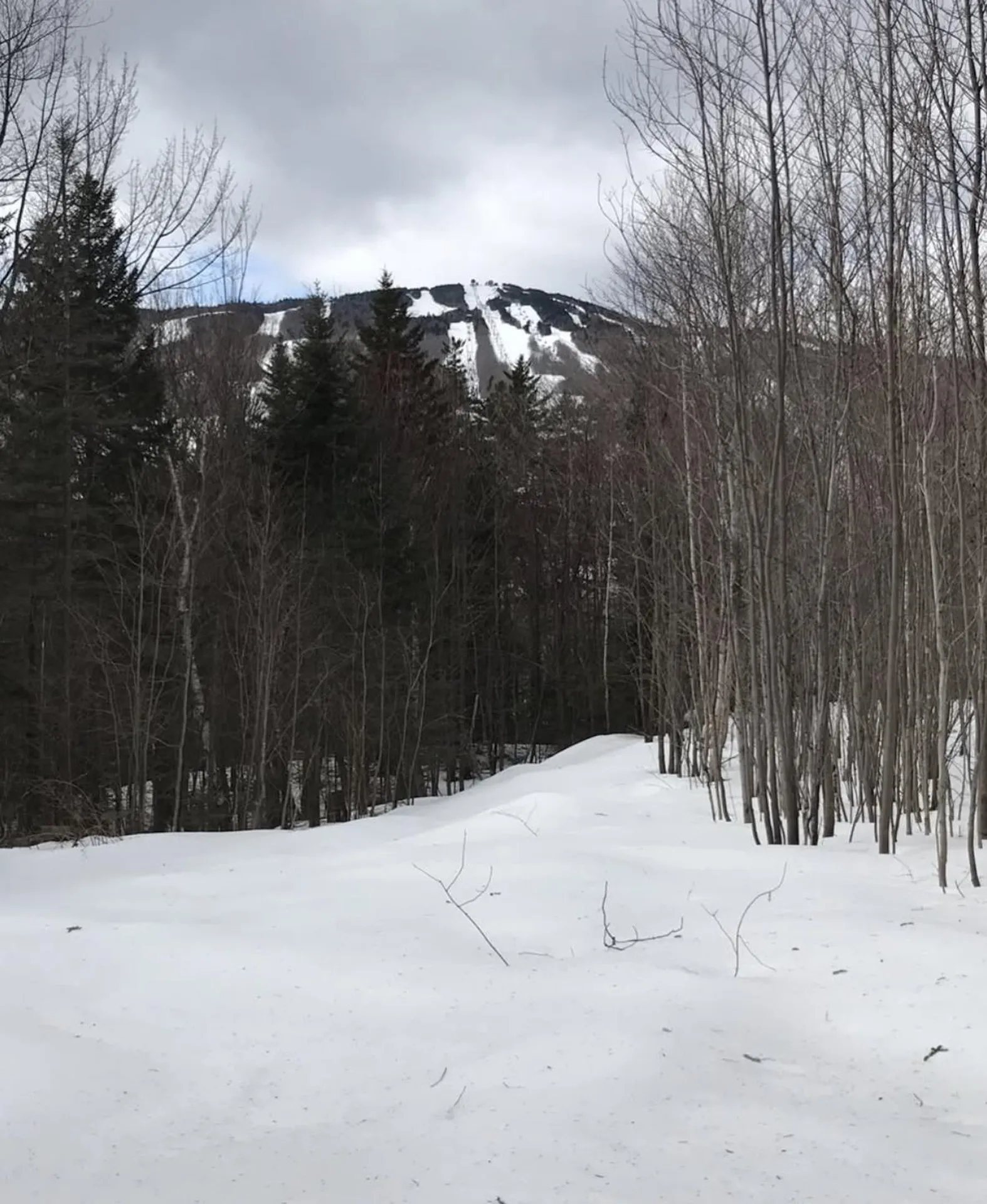 1 Pinnacle View Lane Dover VT 05356