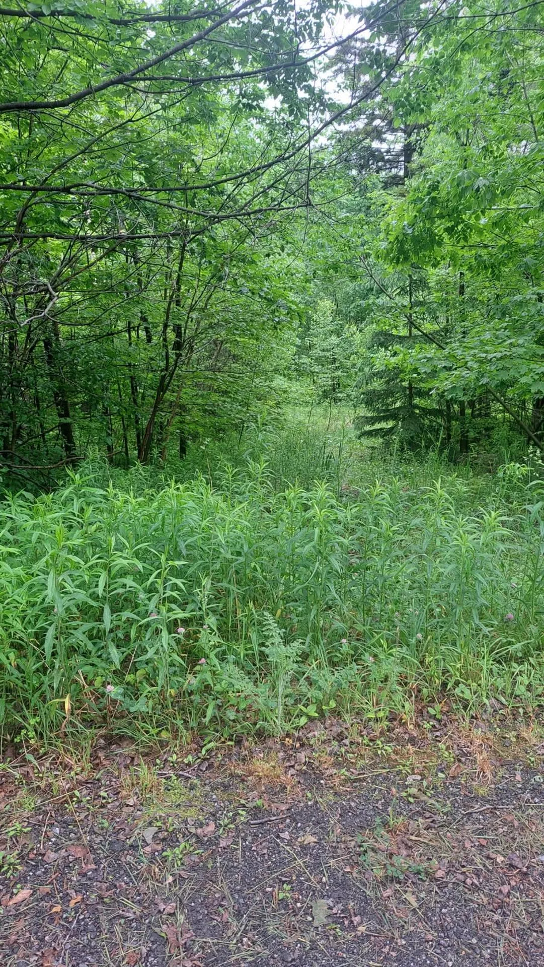 1 Pinnacle View Lane Dover VT 05356