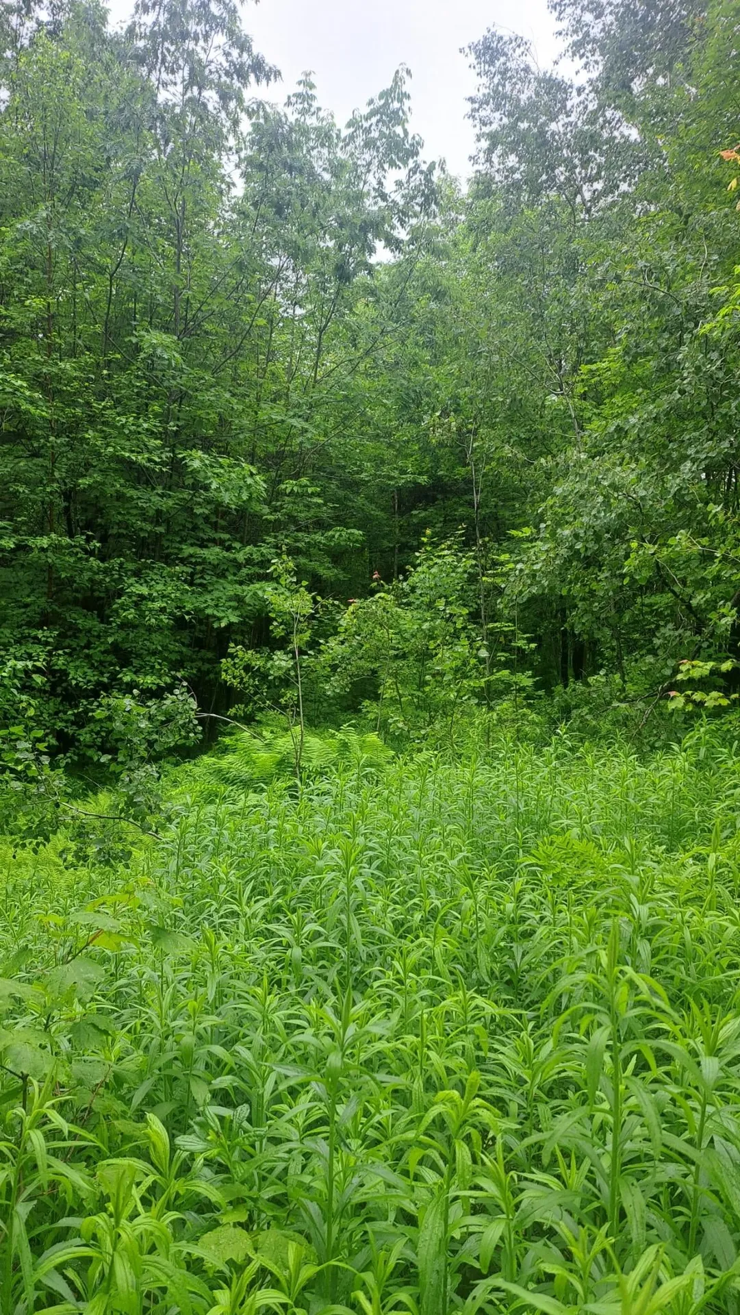 1 Pinnacle View Lane Dover VT 05356