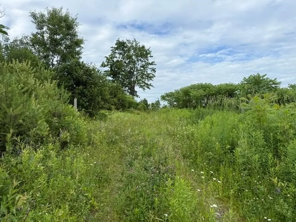 0 Route 15 Wolcott VT 05680