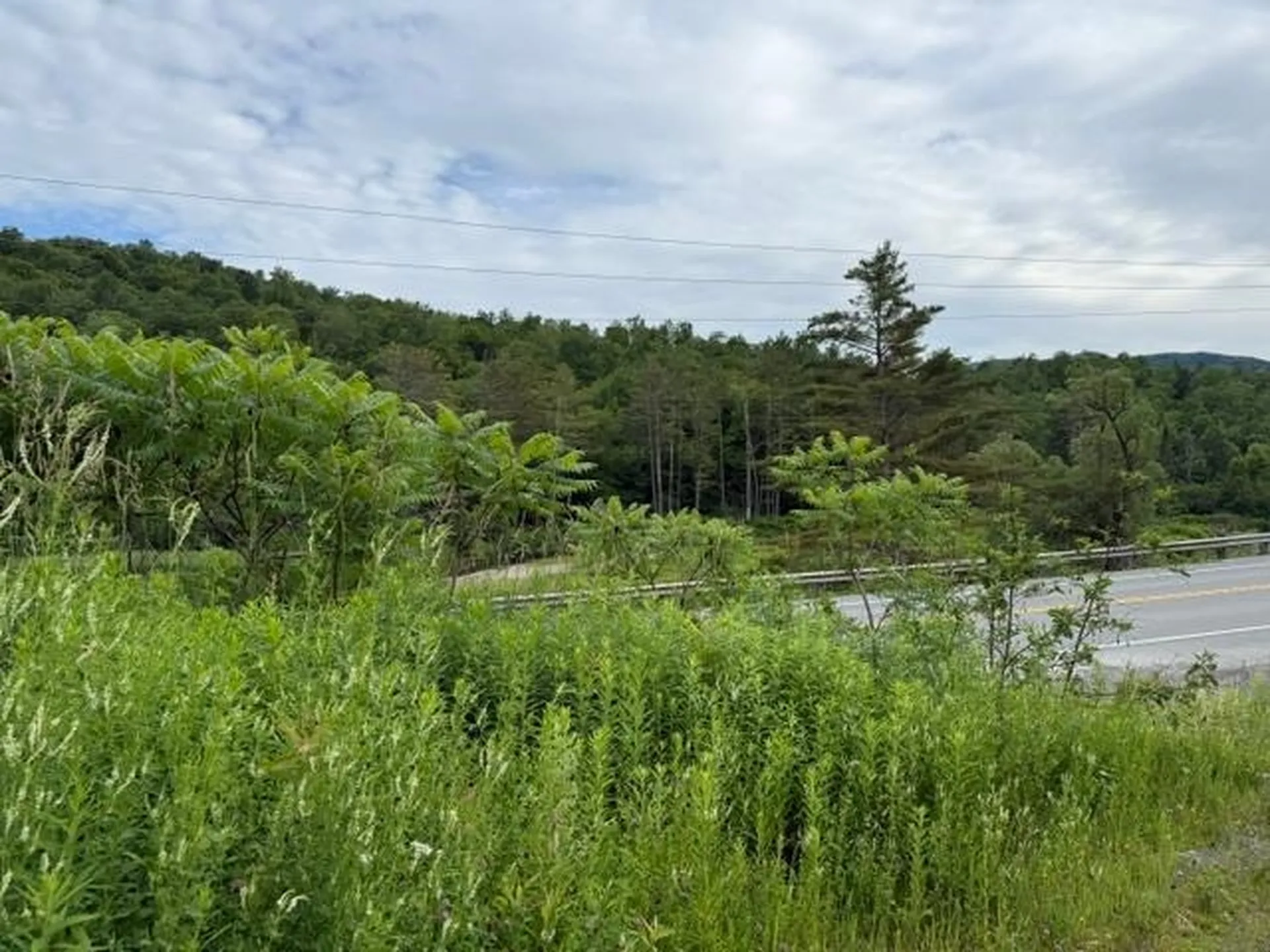 0 Route 15 Wolcott VT 05680