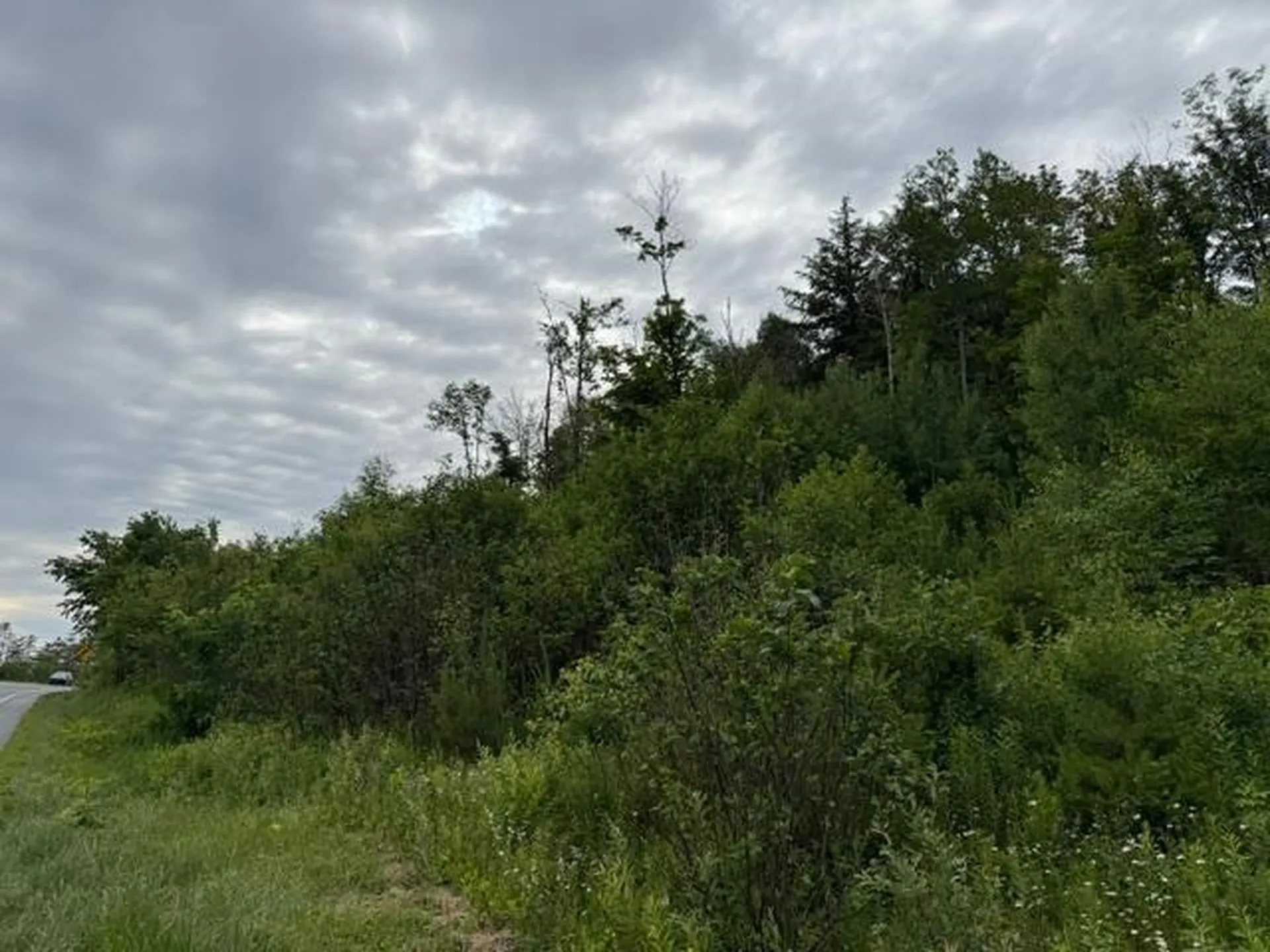 0 Route 15 Wolcott VT 05680