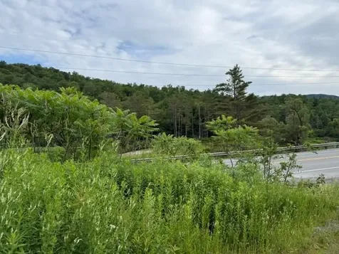 0 Route 15 Wolcott VT 05680