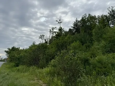 0 Route 15 Wolcott VT 05680