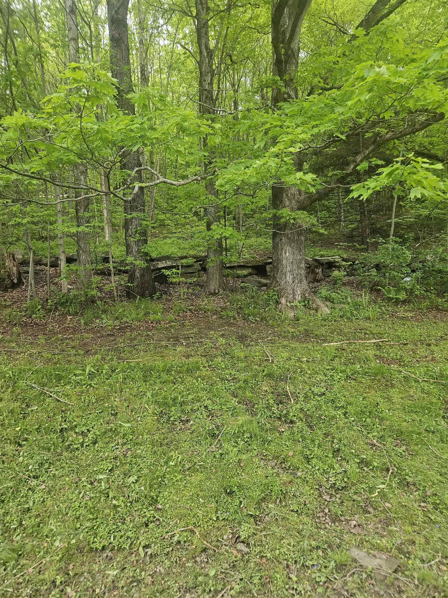 247 Vt Route 100 Wilmington VT 05363