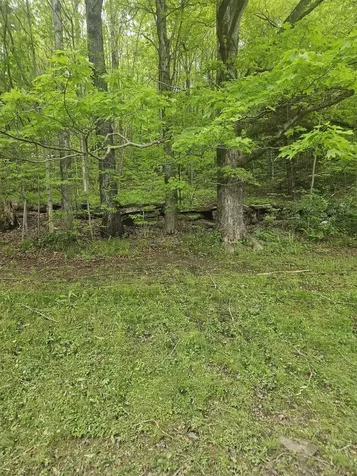 247 Vt Route 100 Wilmington VT 05363