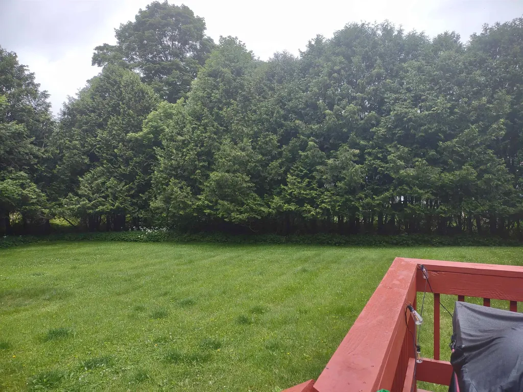 154 Circular Avenue Wallingford VT 05773