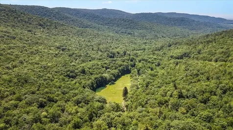 2374 Shaftsbury Hollow Road Shaftsbury VT 05257