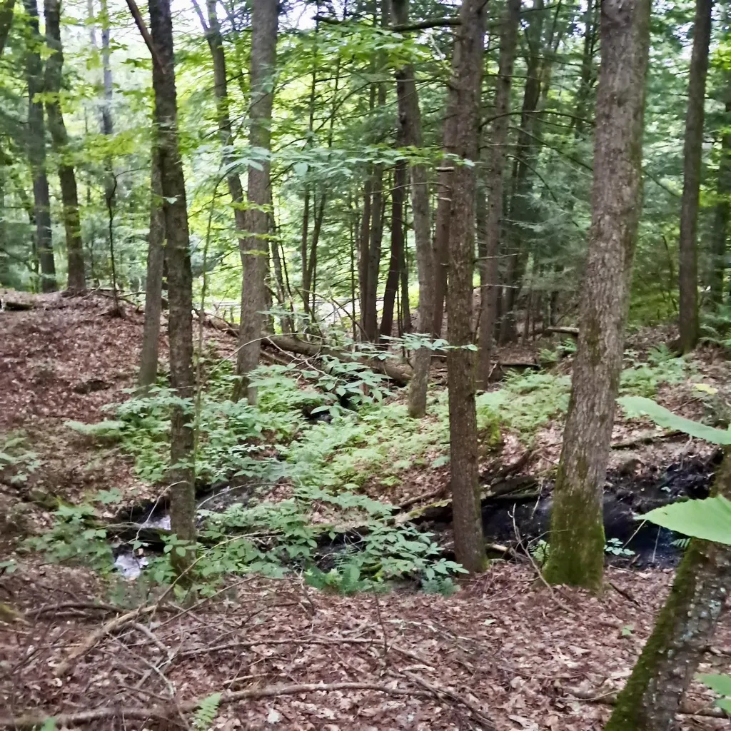 71 Schoolbus Depot Road Rockingham VT 05101