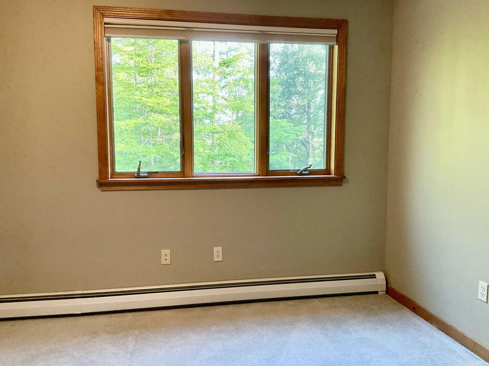 50 Nina Lane Conway NH 03860