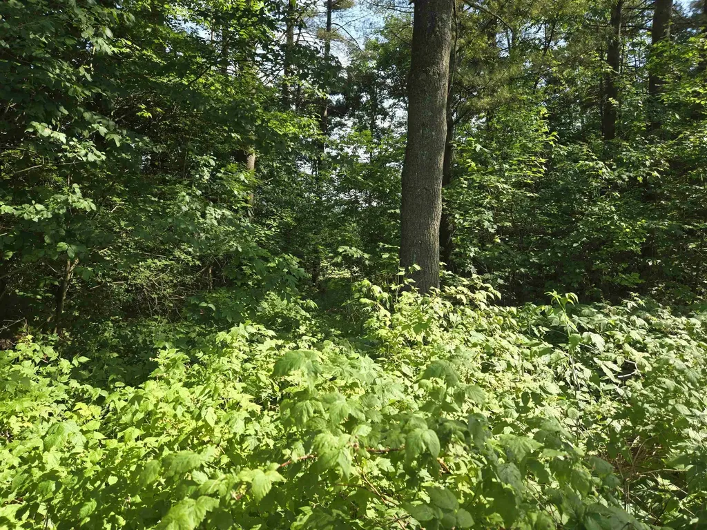 217 Winsor Drive Hartford VT 05001