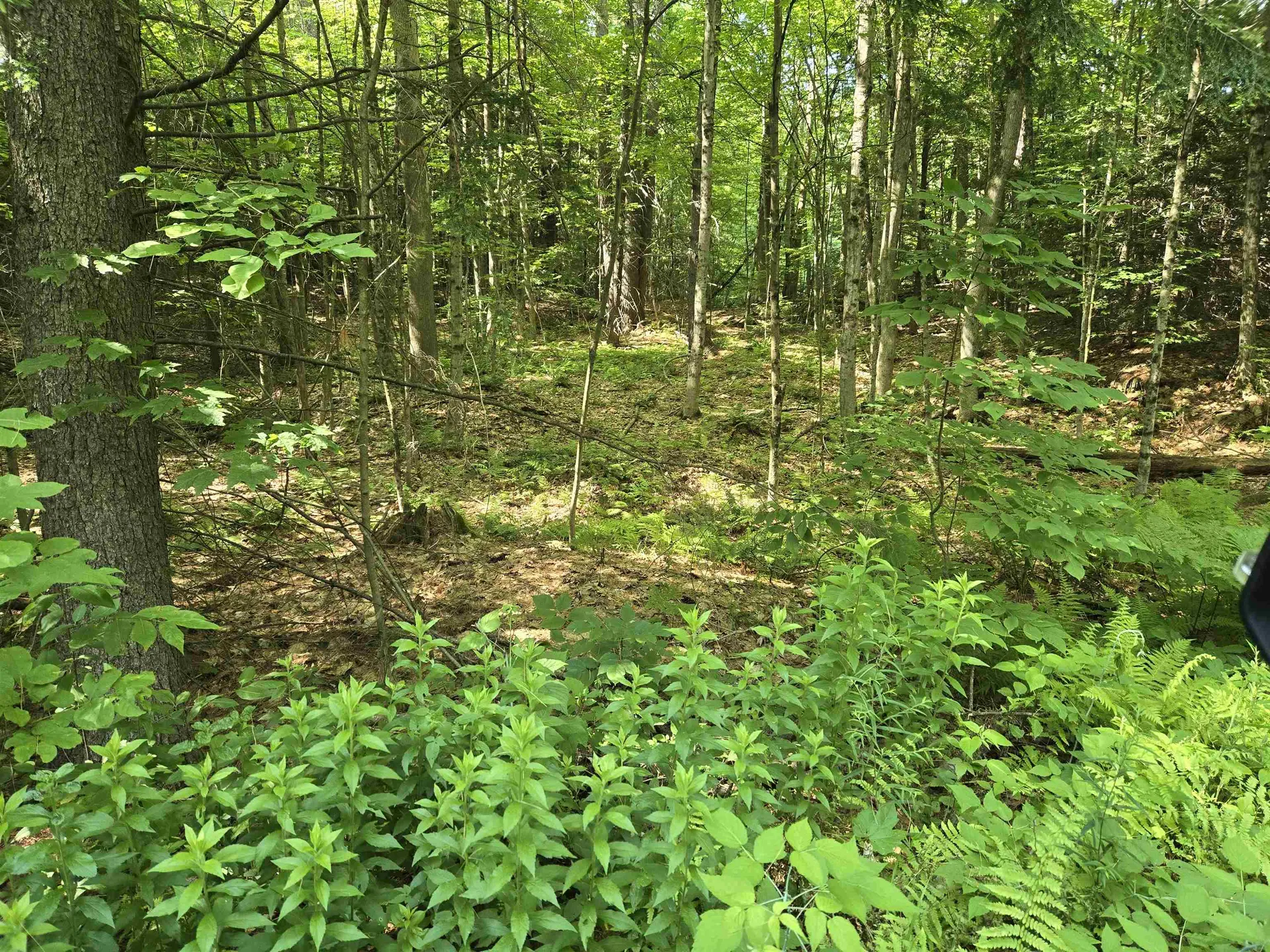 217 Winsor Drive Hartford VT 05001