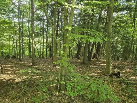 217 Winsor Drive Hartford VT 05001