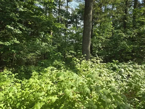 217 Winsor Drive Hartford VT 05001