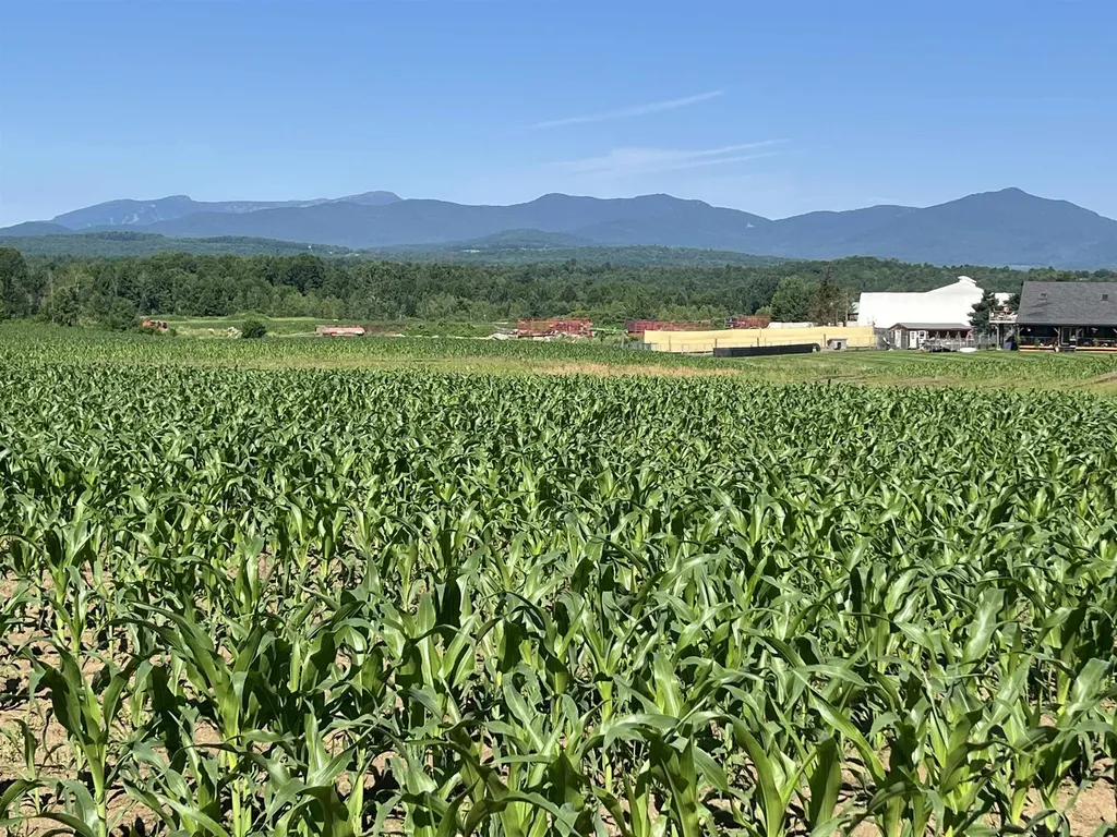 972 Fitzgerald Road Morristown VT 05661