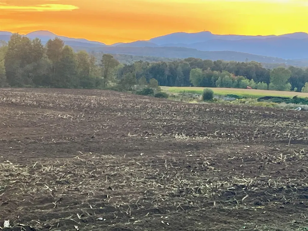 972 Fitzgerald Road Morristown VT 05661