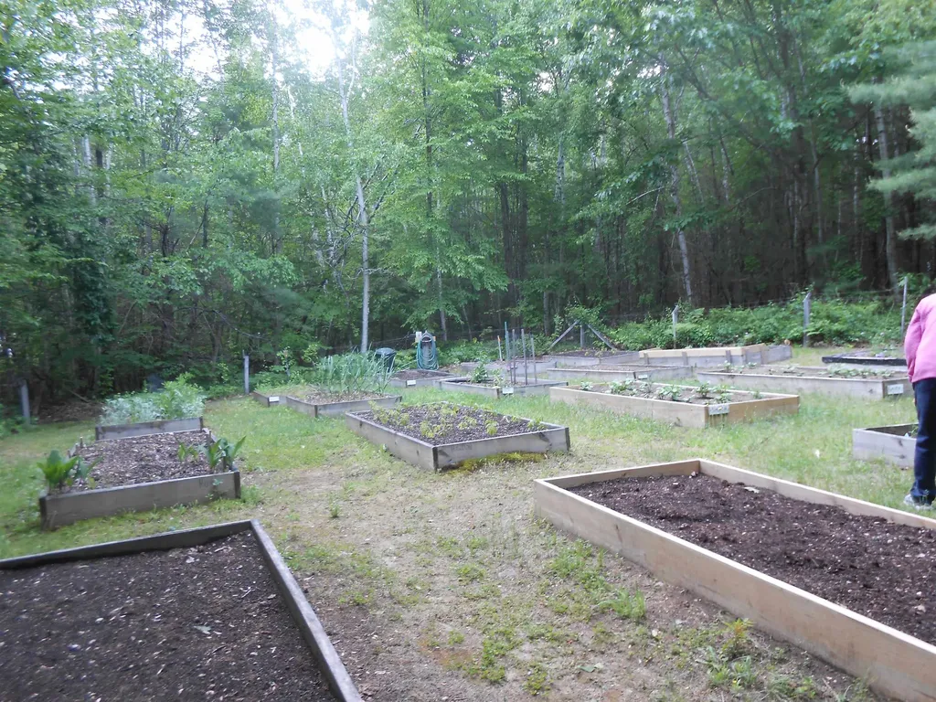 18 Birch Hill Estates Road Wolfeboro NH 03894