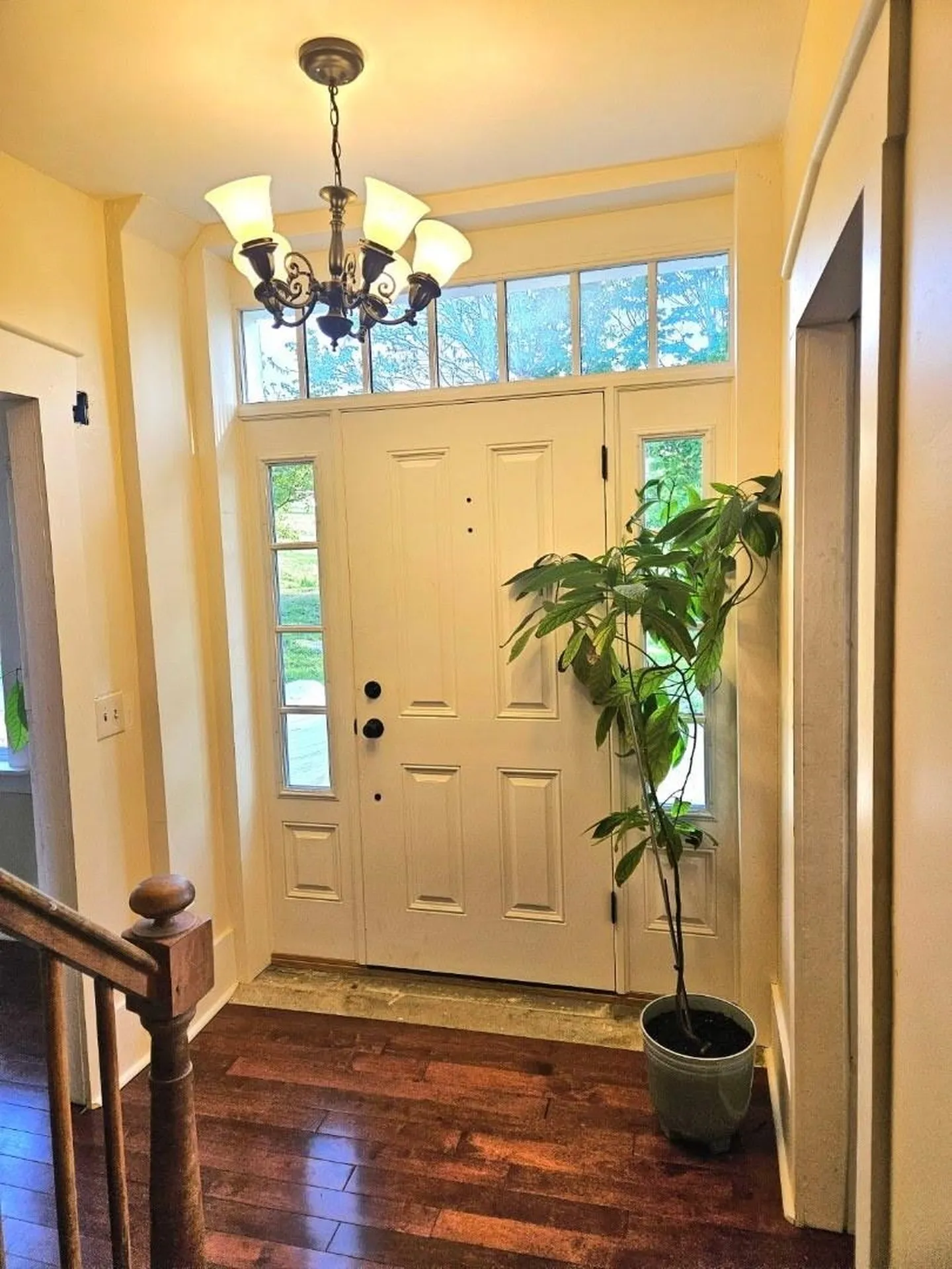 1407 Whittier Hill Cabot VT 05647