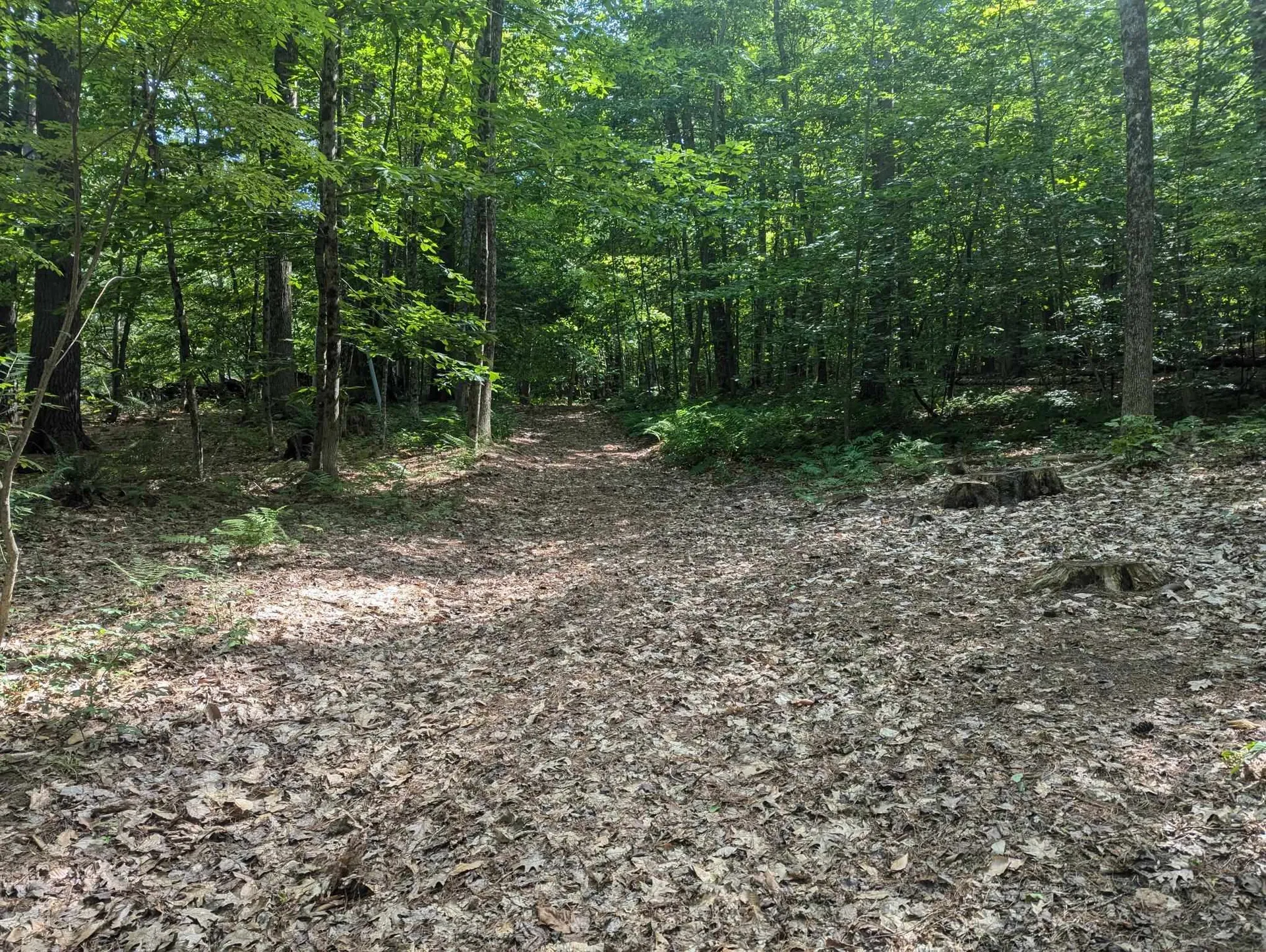 86 Webster Road Hartland VT 05048