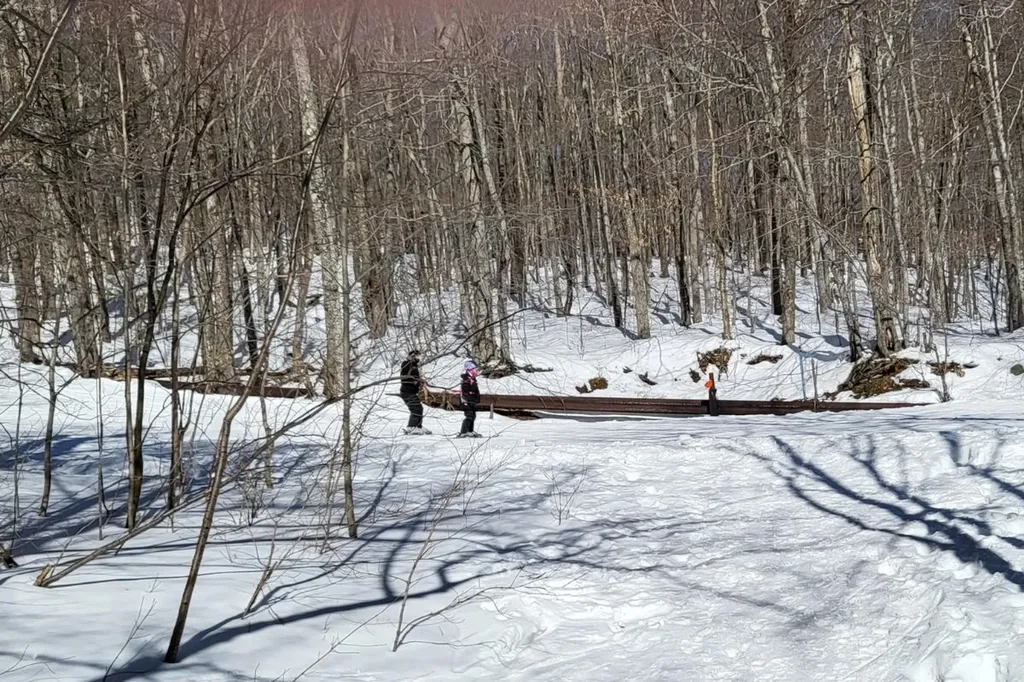 85 Rimrock Road Ludlow VT 05149