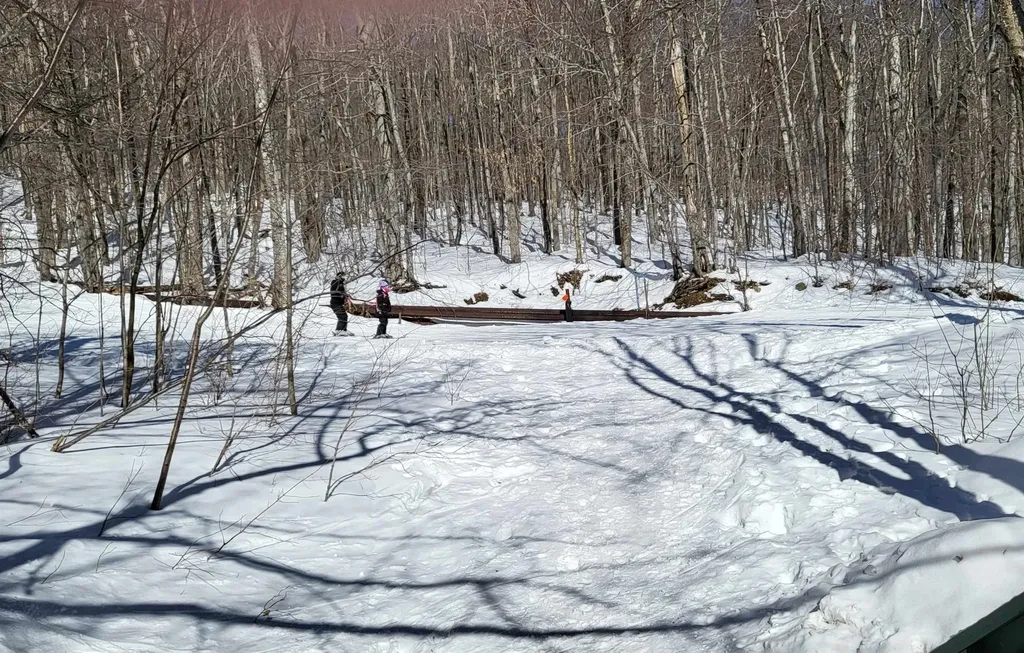 85 Rimrock Road Ludlow VT 05149