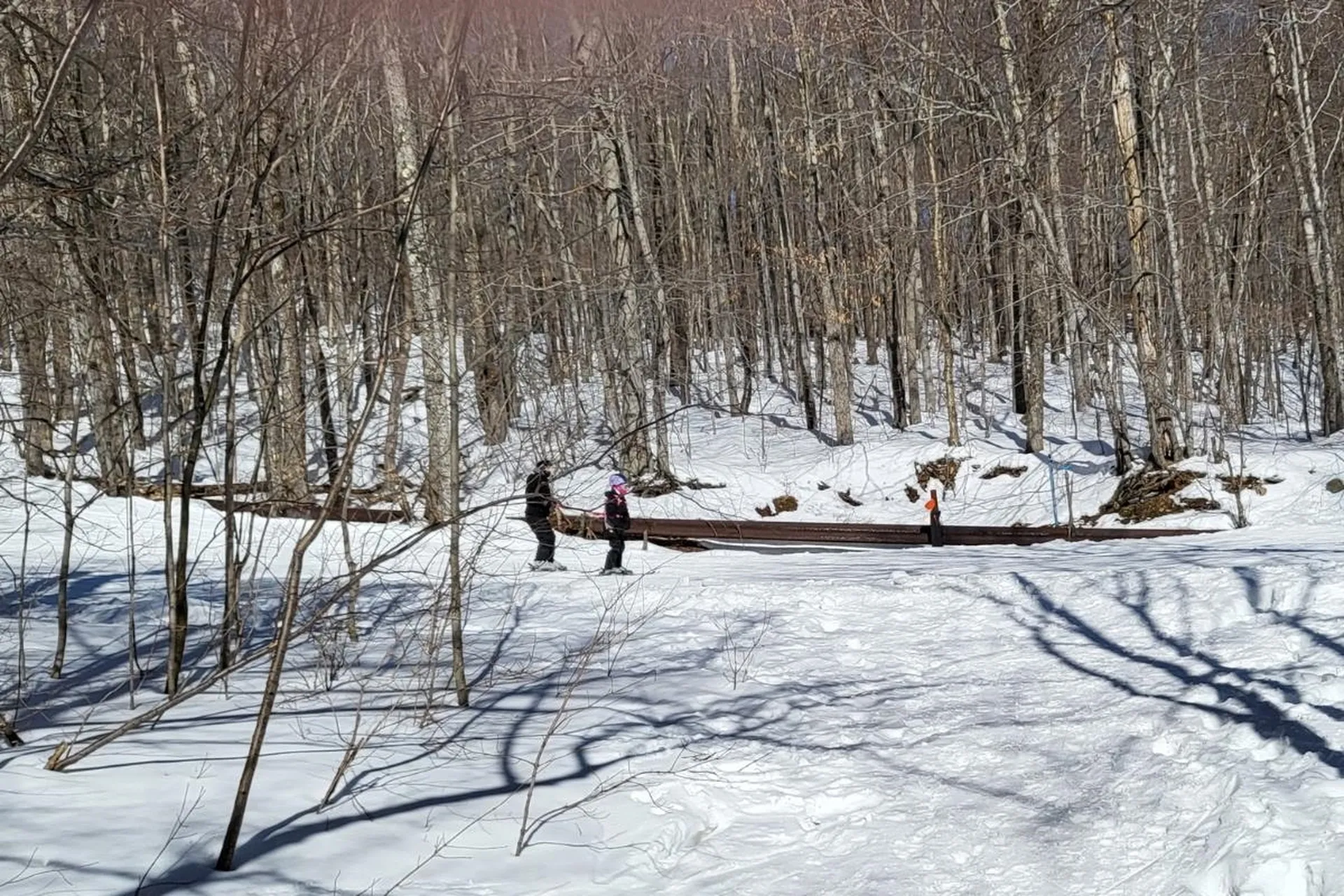 85 Rimrock Road Ludlow VT 05149