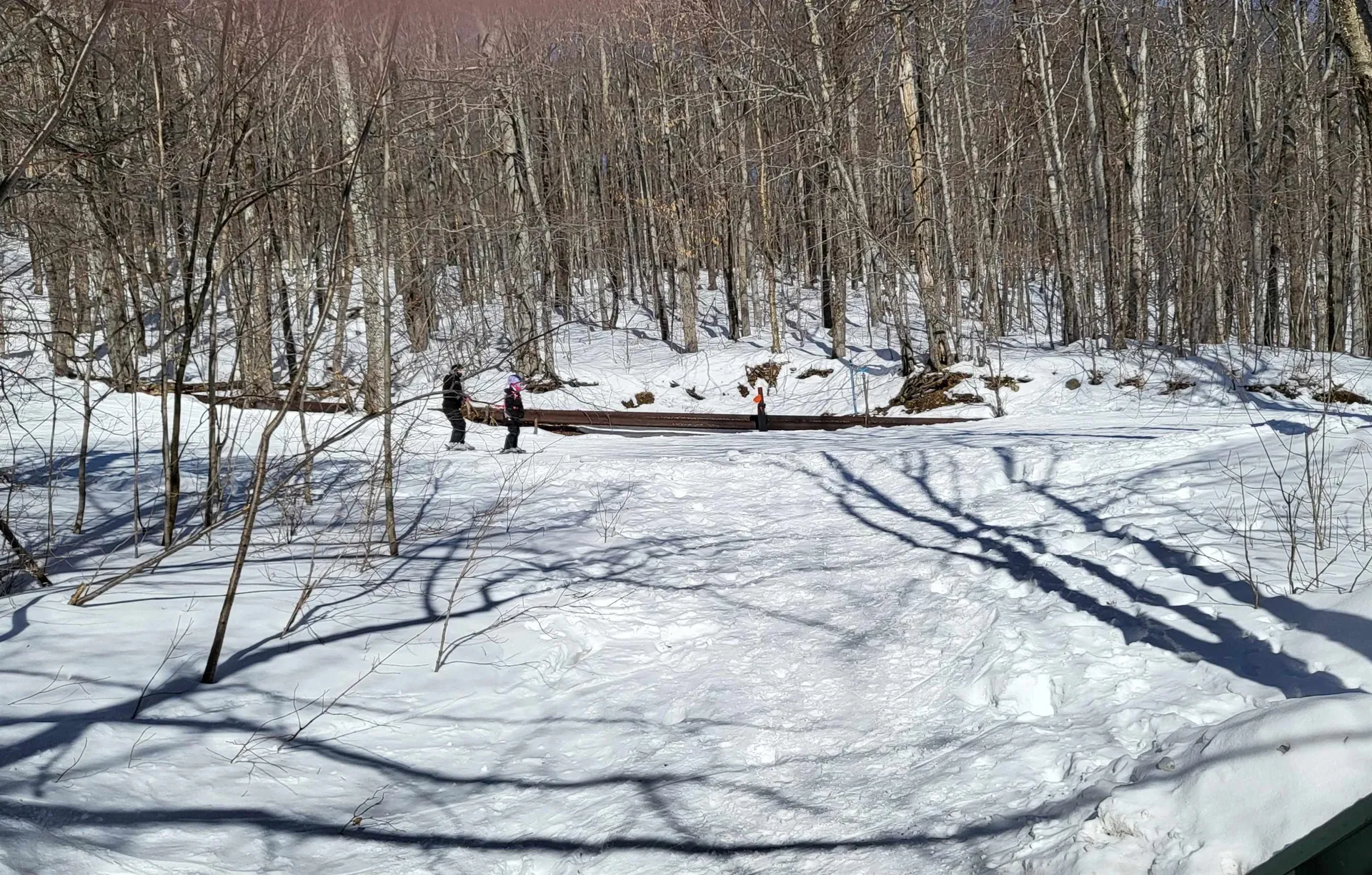 85 Rimrock Road Ludlow VT 05149