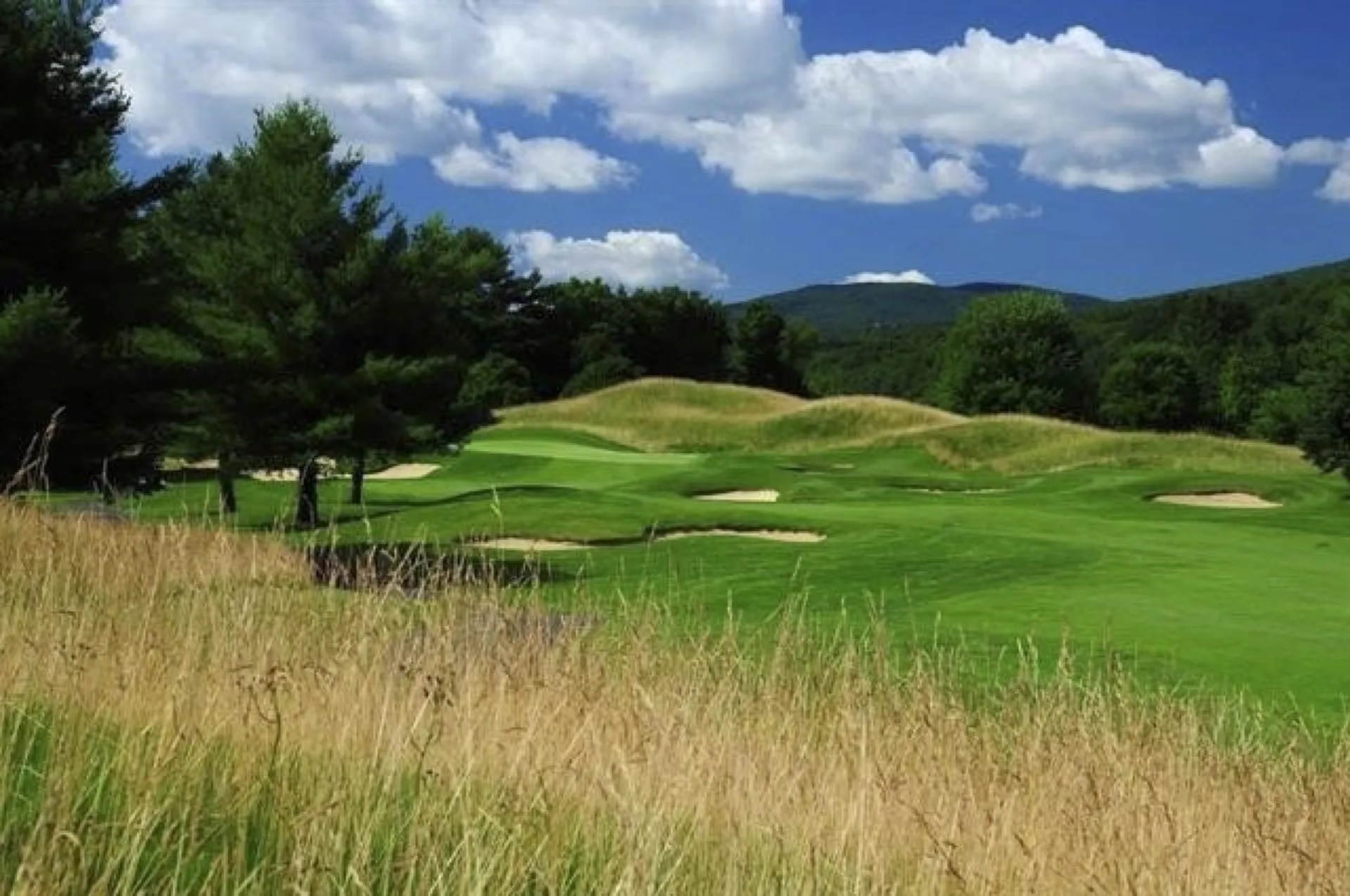 85 Rimrock Road Ludlow VT 05149