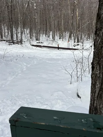 85 Rimrock Road Ludlow VT 05149