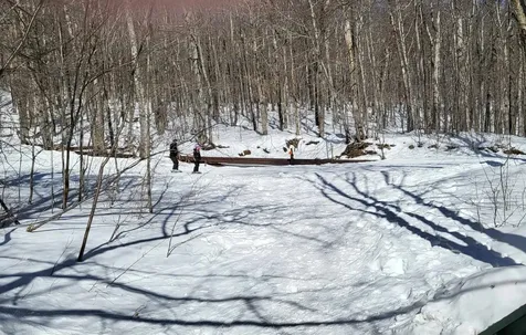 85 Rimrock Road Ludlow VT 05149