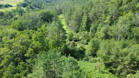 0000 Skiparee Road Pownal VT 05261