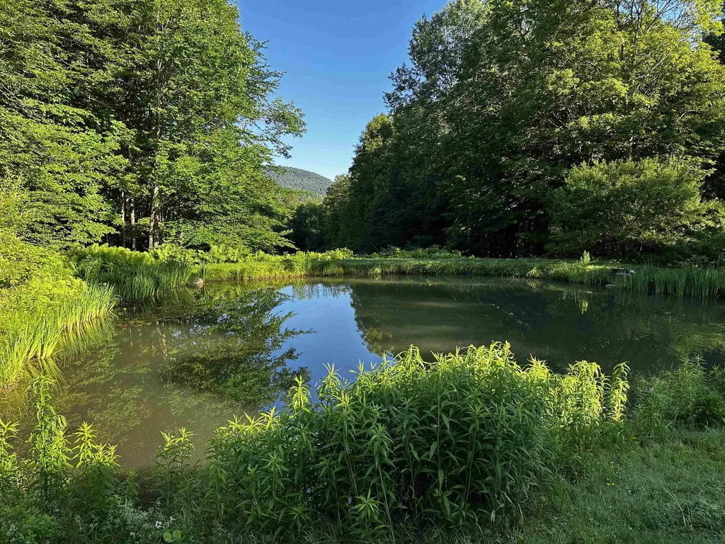 397 Fern Hill Dorset VT 05251