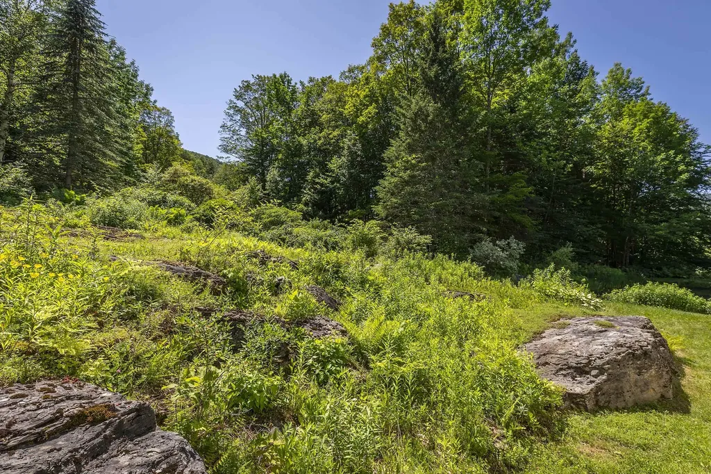 397 Fern Hill Dorset VT 05251