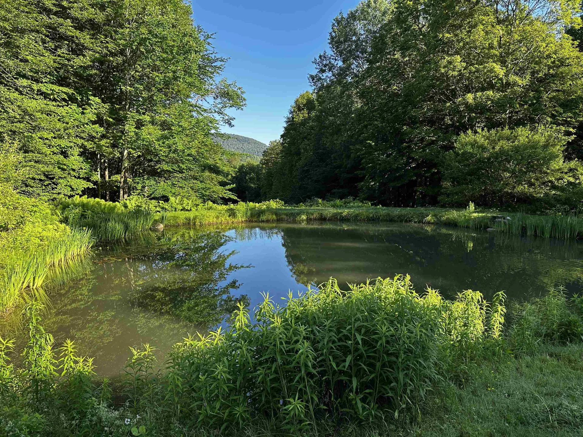 397 Fern Hill Dorset VT 05251