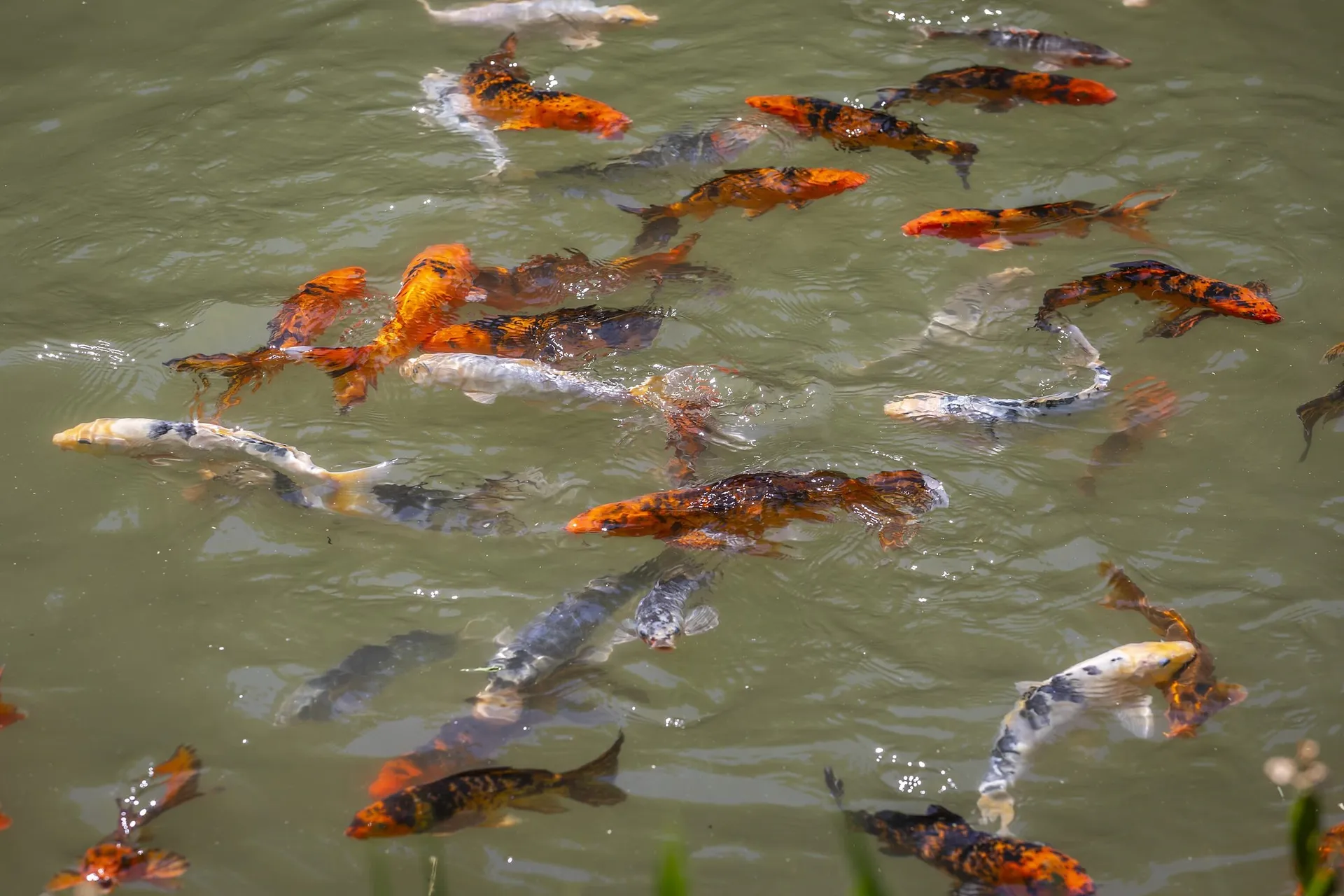 397 Fern Hill Dorset VT 05251