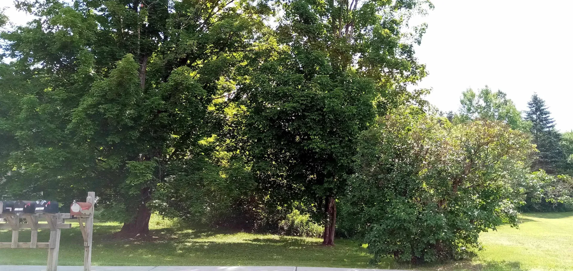 373 Congress Street Morristown VT 05661