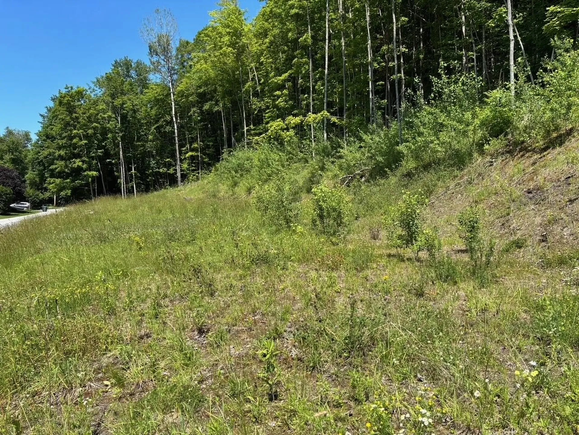 0 Maplewood Avenue Barre City VT 05641