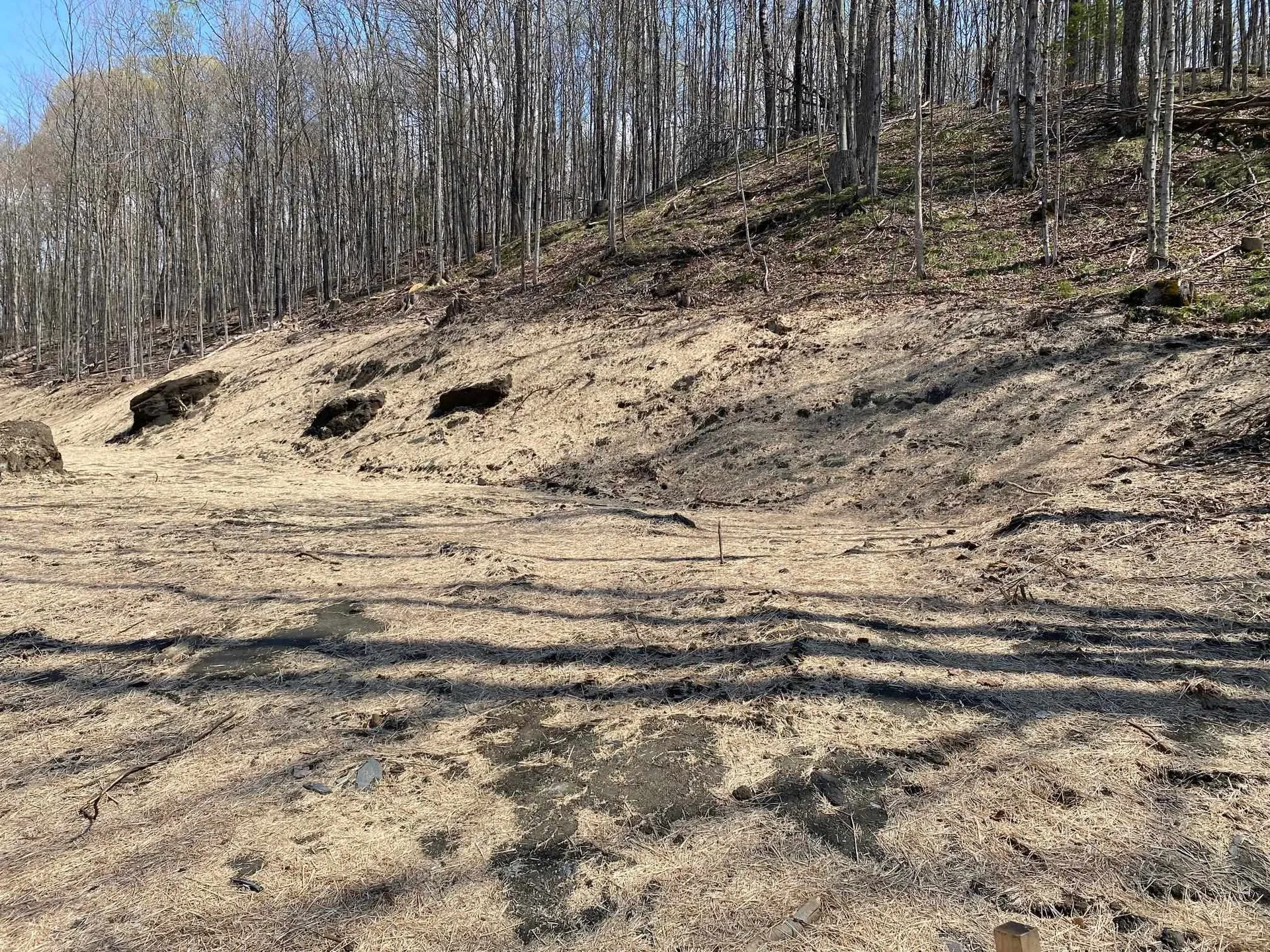 0 Maplewood Avenue Barre City VT 05641