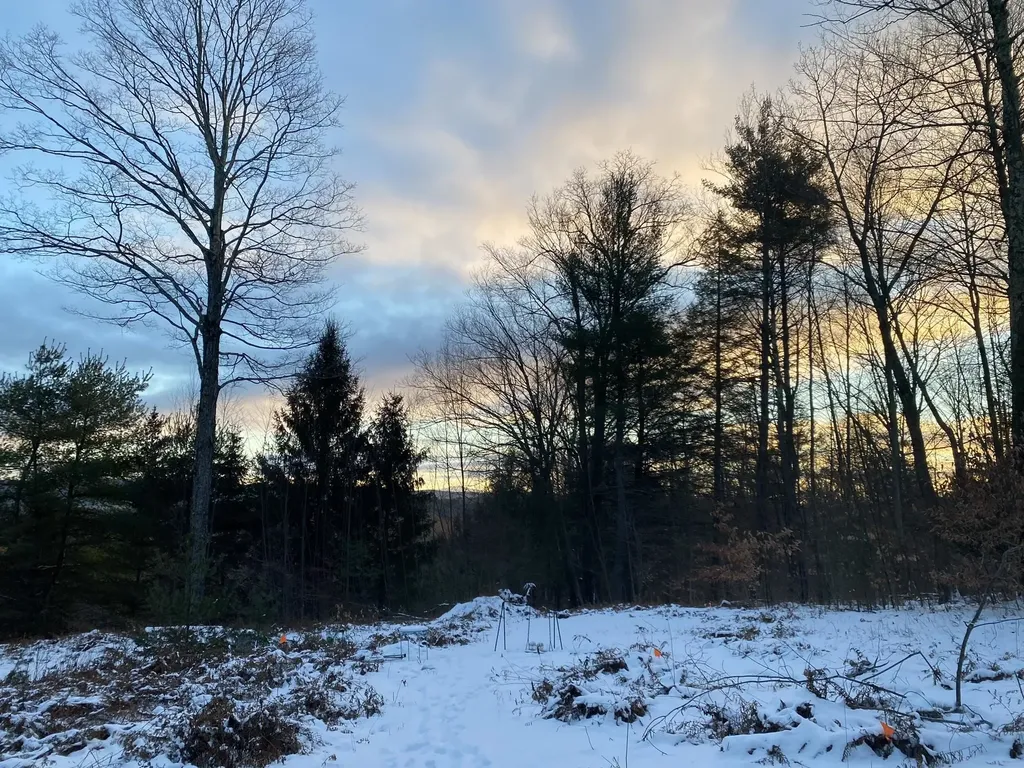 1270 Melendy Hill Road Guilford VT 05301