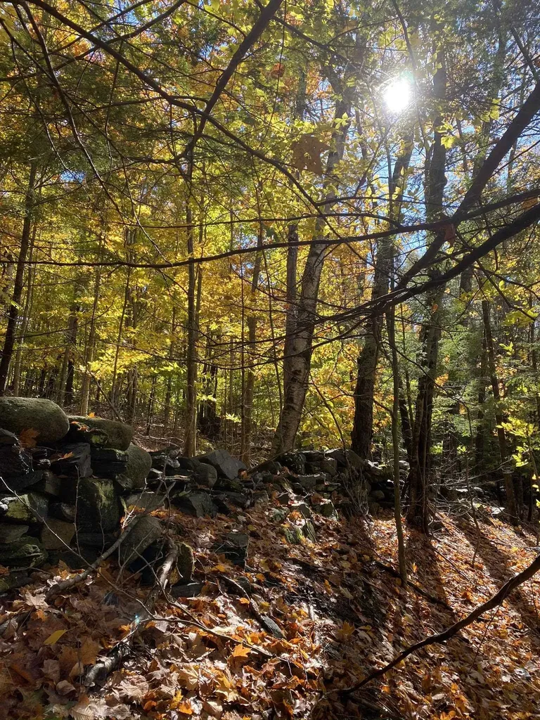 1270 Melendy Hill Road Guilford VT 05301