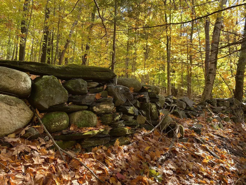 1270 Melendy Hill Road Guilford VT 05301