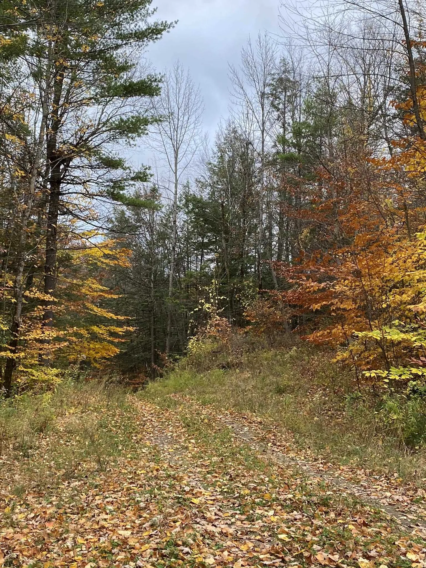 1270 Melendy Hill Road Guilford VT 05301