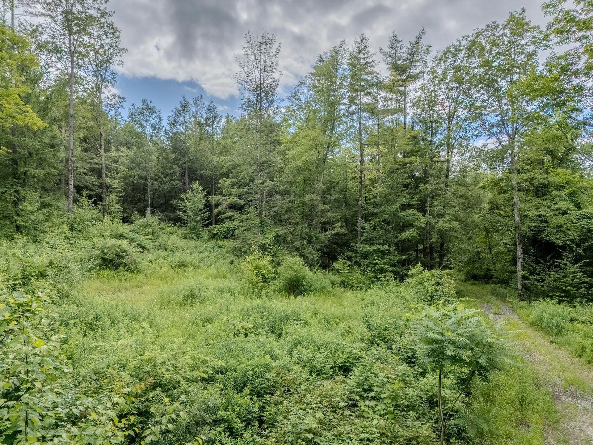1270 Melendy Hill Road Guilford VT 05301