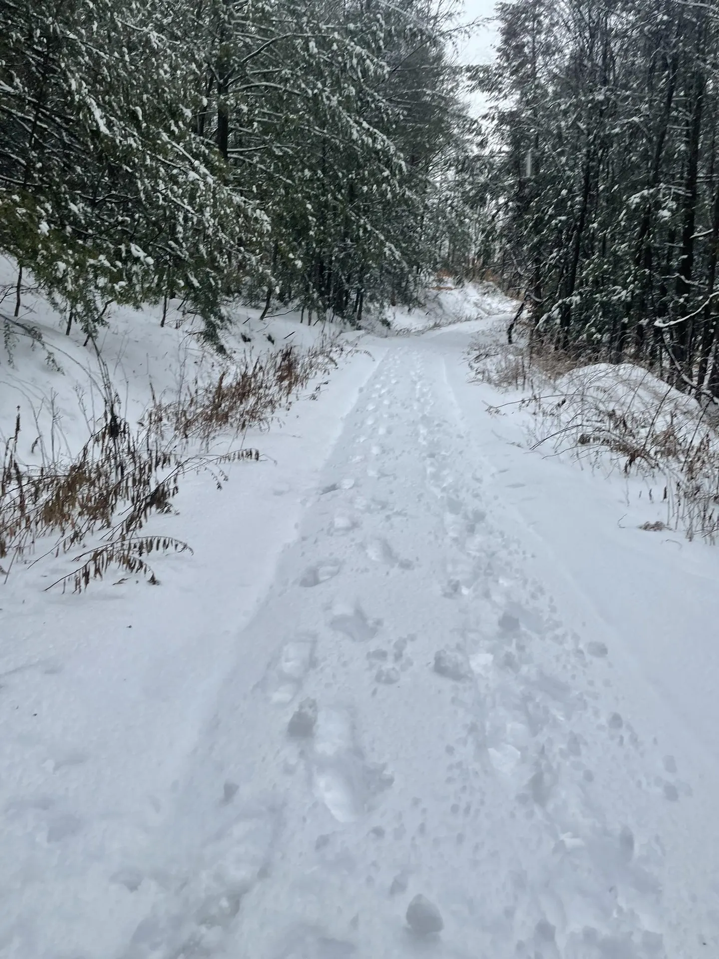 1270 Melendy Hill Road Guilford VT 05301