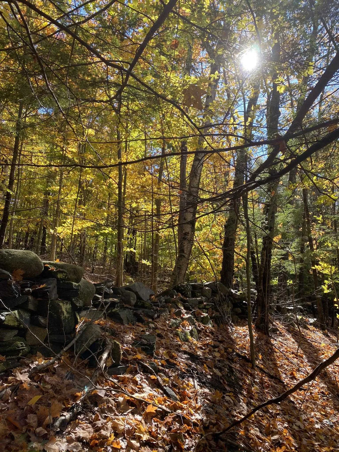 1270 Melendy Hill Road Guilford VT 05301