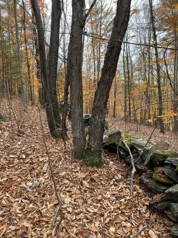 1270 Melendy Hill Road Guilford VT 05301