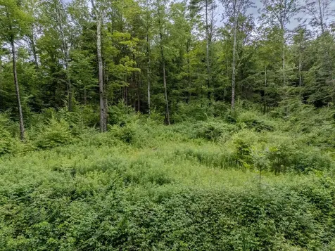 1270 Melendy Hill Road Guilford VT 05301